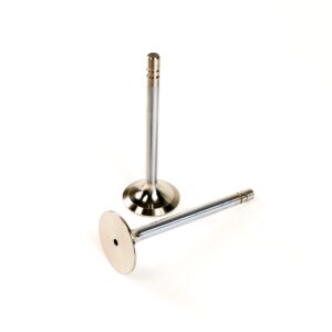 Turbocharger Intake Valve, New (TR89224)